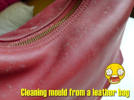 How A Moldy Gucci Bag Is Deep Cleaned And Restored